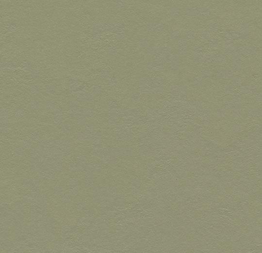  Marmoleum Solid Walton 3355/335535 rosemary green (Forbo)