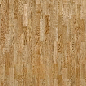 Salsa ��� �������