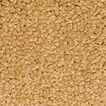 �������� Chiffon 200 (In Floor)
