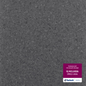 iQ Melodia 2604