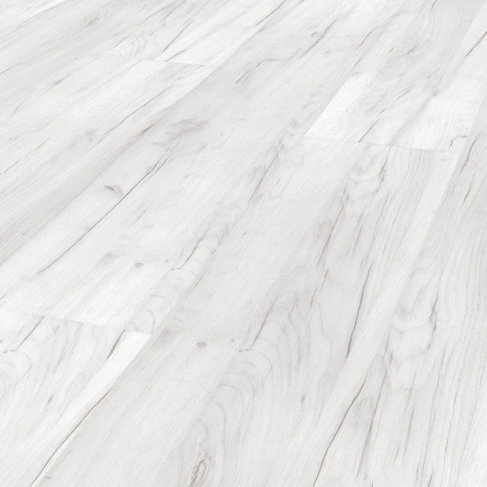 Forte 833 ��� ����� �����