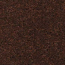 2806