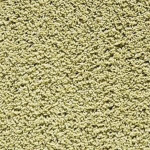 Euphoria 415