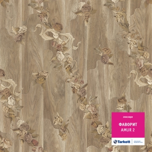 ������� Amur 2