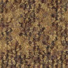  5804