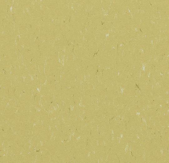 �������� Marmoleum Solid Piano 3634/363435 meadow (Forbo)