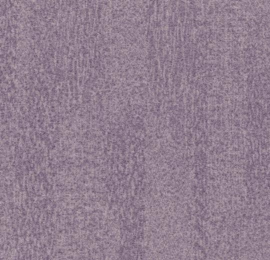 Flotex Colour ������ t382027 Penang orchid