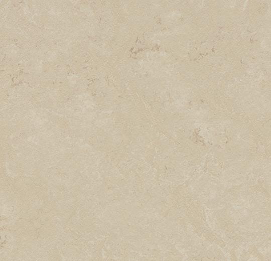 �������� Marmoleum Solid Concrete 3711/371135 cloudy sand (Forbo)