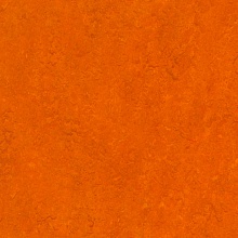 �������� Marmoleum Real 3126 (Forbo)