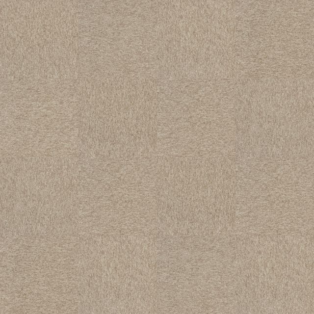 Employ Loop 4197001 Raffia