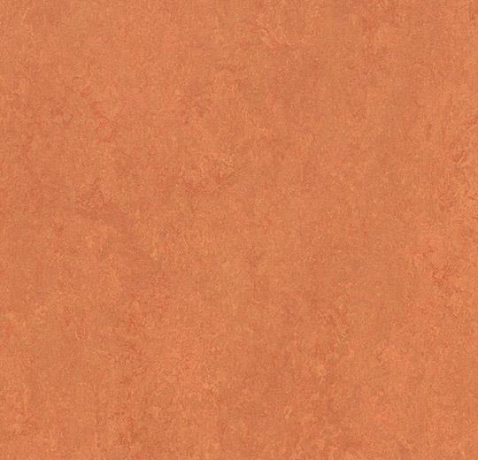 �������� Marmoleum Fresco 3825 African desert (Forbo)