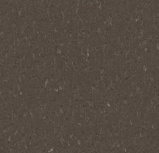 �������� Marmoleum Solid Piano 3632/363235 sealion (Forbo)