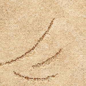 Zanzibar 283 ����������