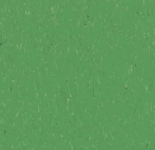 �������� Marmoleum Solid Piano 3647/364735 nettle green (Forbo)
