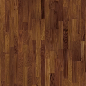 Salsa �����