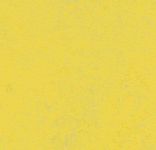�������� Marmoleum Solid Concrete 3741/374135 yellow glow (Forbo)