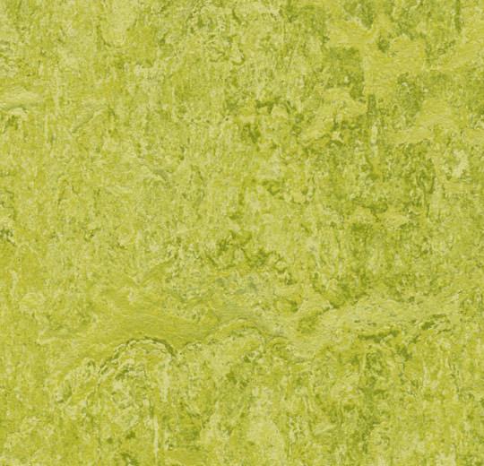 �������� Marmoleum Real 3224 (Forbo)
