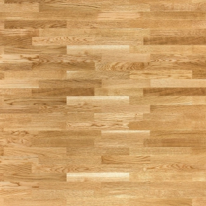 Salsa ��� ��������� ������