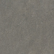 �������� Marmoleum Real 3137 (Forbo)