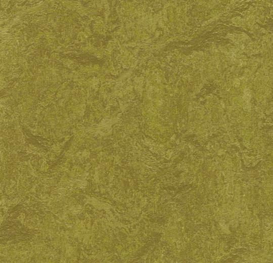 �������� Marmoleum Real 3239 (Forbo)