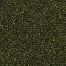  2808