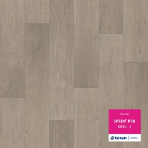 Sprint Pro Basel 3