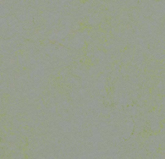 �������� Marmoleum Solid Concrete 3736/373635 green shimmer (Forbo)