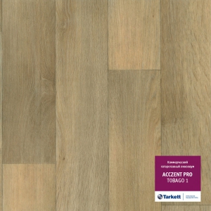 Acczent Pro ������ 1