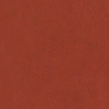 �������� Marmoleum Real 3203 (Forbo)