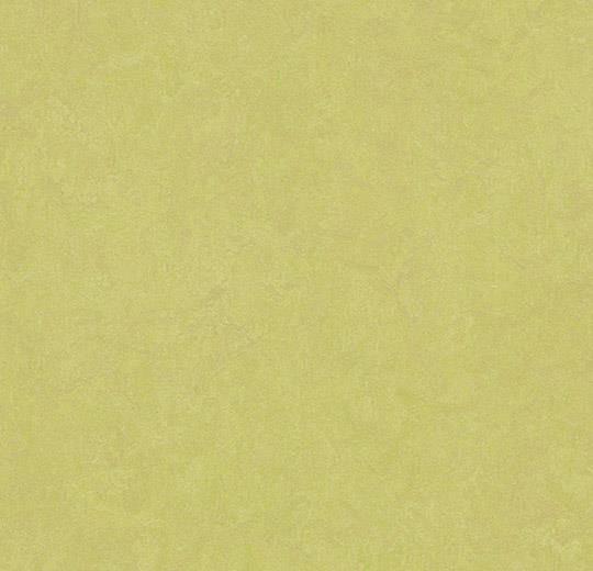 �������� Marmoleum Fresco 3885 spring buds (Forbo)