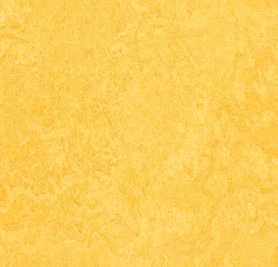 �������� Marmoleum Real 3251 (Forbo)