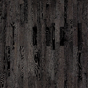 Salsa Art Black or White