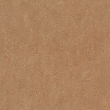 �������� Marmoleum Real 3233 (Forbo)