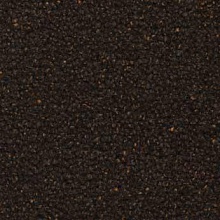  2856
