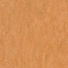�������� Marmoleum Real 3174 (Forbo)