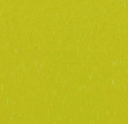 �������� Marmoleum Solid Piano 3646/364635 young grass (Forbo)