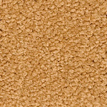�������� Chiffon 230 (In Floor)