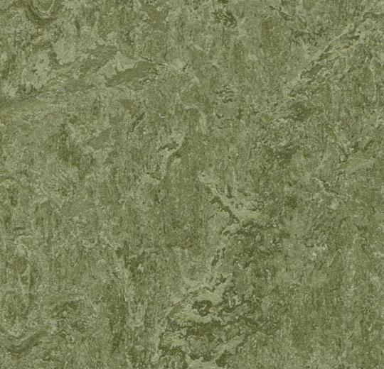�������� Marmoleum Real 3255 (Forbo)