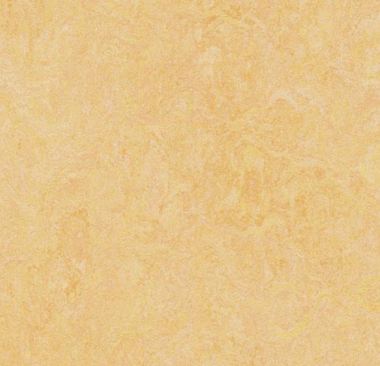 �������� Marmoleum Fresco 3846 natural corn (Forbo)