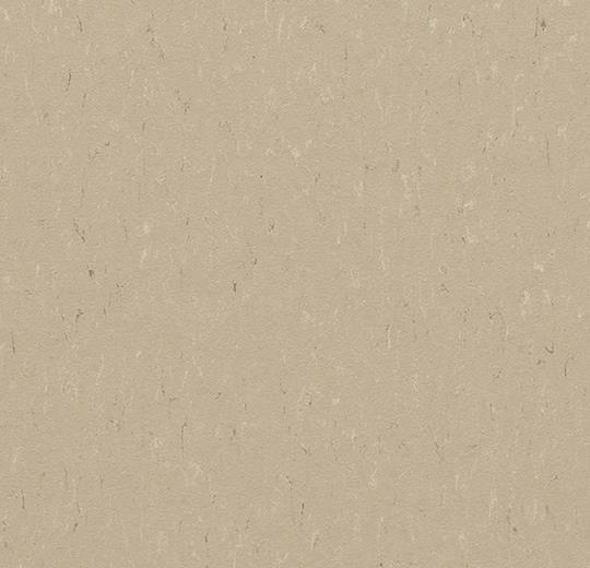 �������� Marmoleum Solid Piano 3630/363035 angora (Forbo)