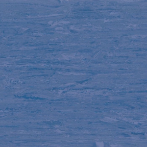 Horizon 007