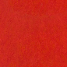 �������� Marmoleum Real 3131 (Forbo)