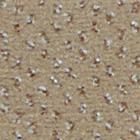 �������� Credo-s 720 (In Floor)