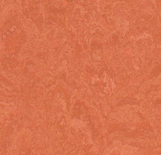 �������� Marmoleum Real 3243 (Forbo)