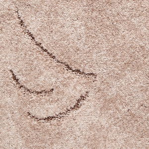 Zanzibar 822 �����