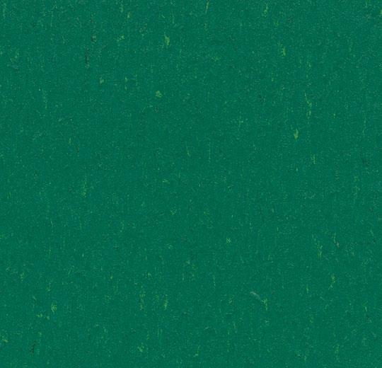 �������� Marmoleum Solid Piano 3649/364935 greenwood (Forbo)
