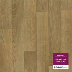 Acczent Pro �������� 1