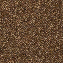  2804