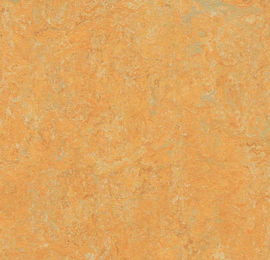 �������� Marmoleum Fresco 3847 golden saffron (Forbo)