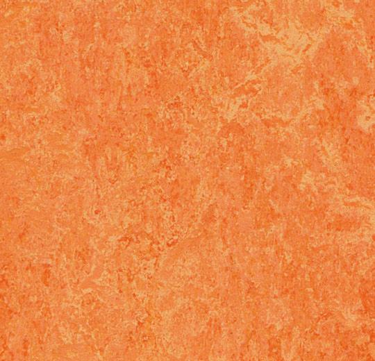 �������� Marmoleum Real 3241 (Forbo)